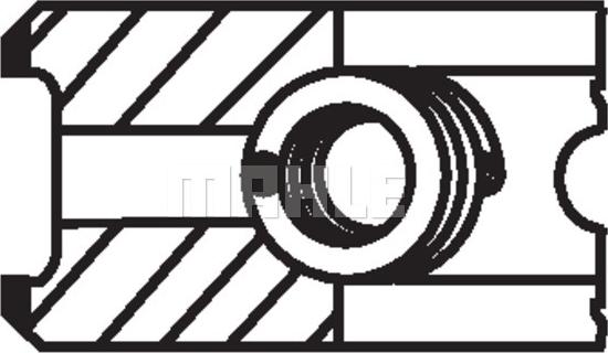 Wilmink Group WG1213183 - Piston halqası dəsti furqanavto.az