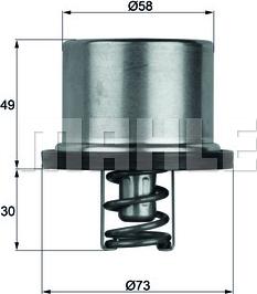 Wilmink Group WG1150247 - Termostat, soyuducu furqanavto.az