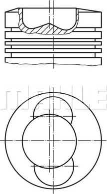 Wilmink Group WG1104655 - Piston furqanavto.az