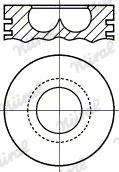 Wilmink Group WG1175528 - Piston furqanavto.az