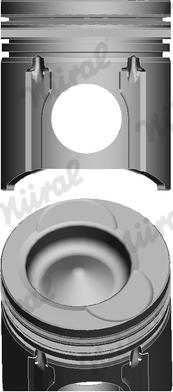 Wilmink Group WG1175730 - Piston furqanavto.az