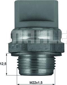 Wilmink Group WG1265981 - Temperatur açarı, radiator/kondisioner ventilyatoru furqanavto.az