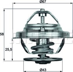 Wilmink Group WG1262707 - Termostat, soyuducu furqanavto.az