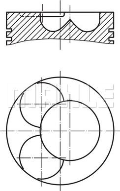 Wilmink Group WG1213818 - Piston furqanavto.az