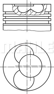 Wilmink Group WG1213820 - Piston furqanavto.az