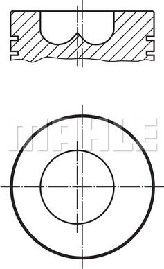 Wilmink Group WG1212503 - Piston furqanavto.az