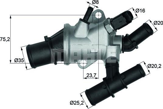 Wilmink Group WG1217609 - Termostat, soyuducu furqanavto.az