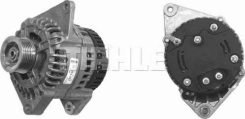 Wilmink Group WG2043605 - Alternator furqanavto.az