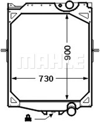 Wilmink Group WG2183969 - Radiator, mühərrikin soyudulması furqanavto.az