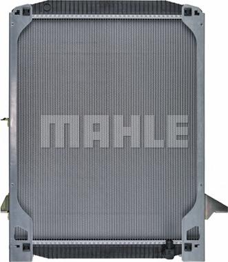 Wilmink Group WG2183904 - Radiator, mühərrikin soyudulması furqanavto.az