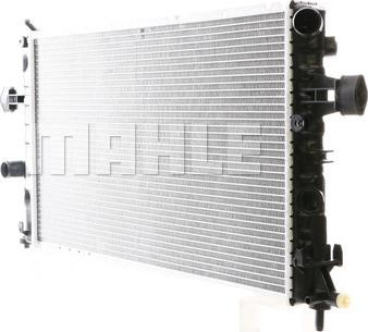 Wilmink Group WG2183460 - Radiator, mühərrikin soyudulması furqanavto.az