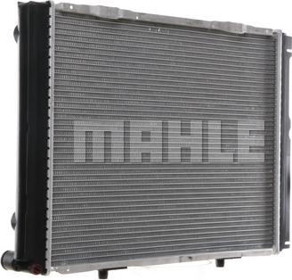 Wilmink Group WG2183406 - Radiator, mühərrikin soyudulması furqanavto.az