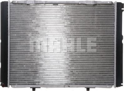 Wilmink Group WG2183406 - Radiator, mühərrikin soyudulması furqanavto.az