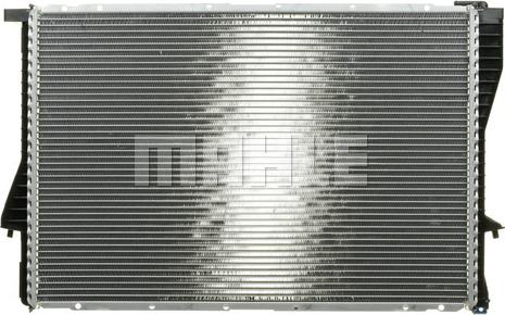 Wilmink Group WG2183424 - Radiator, mühərrikin soyudulması furqanavto.az