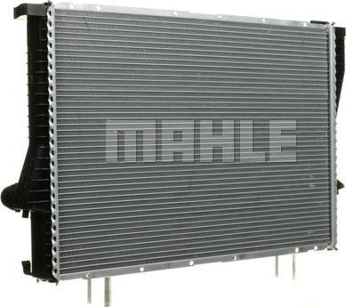 Wilmink Group WG2183424 - Radiator, mühərrikin soyudulması furqanavto.az