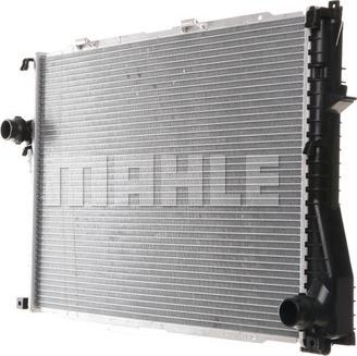 Wilmink Group WG2183425 - Radiator, mühərrikin soyudulması furqanavto.az