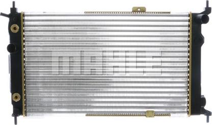 Wilmink Group WG2183591 - Radiator, mühərrikin soyudulması furqanavto.az