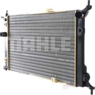 Wilmink Group WG2183591 - Radiator, mühərrikin soyudulması furqanavto.az