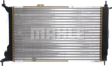 Wilmink Group WG2183507 - Radiator, mühərrikin soyudulması furqanavto.az