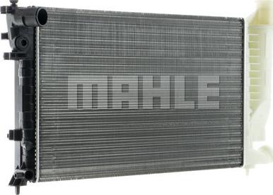 Wilmink Group WG2183660 - Radiator, mühərrikin soyudulması furqanavto.az