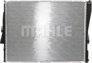 Wilmink Group WG2183631 - Radiator, mühərrikin soyudulması furqanavto.az