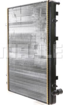 Wilmink Group WG2183050 - Radiator, mühərrikin soyudulması furqanavto.az