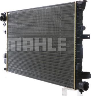 Wilmink Group WG2183066 - Radiator, mühərrikin soyudulması furqanavto.az