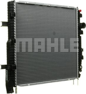 Wilmink Group WG2183871 - Radiator, mühərrikin soyudulması furqanavto.az