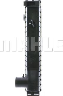 Wilmink Group WG2183383 - Radiator, mühərrikin soyudulması furqanavto.az