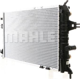 Wilmink Group WG2183244 - Radiator, mühərrikin soyudulması furqanavto.az