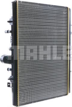 Wilmink Group WG2183790 - Radiator, mühərrikin soyudulması furqanavto.az