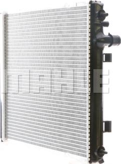 Wilmink Group WG2183749 - Radiator, mühərrikin soyudulması furqanavto.az