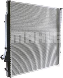 Wilmink Group WG2183761 - Radiator, mühərrikin soyudulması furqanavto.az