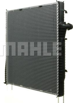 Wilmink Group WG2183762 - Radiator, mühərrikin soyudulması furqanavto.az