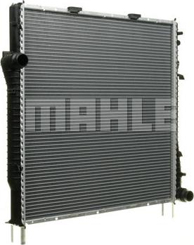 Wilmink Group WG2183762 - Radiator, mühərrikin soyudulması furqanavto.az