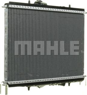 Wilmink Group WG2183702 - Radiator, mühərrikin soyudulması furqanavto.az