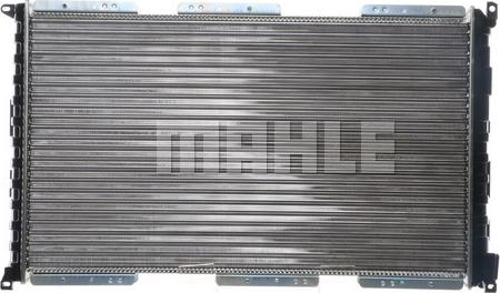 Wilmink Group WG2183714 - Radiator, mühərrikin soyudulması furqanavto.az