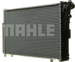 Wilmink Group WG2182941 - Radiator, mühərrikin soyudulması furqanavto.az