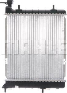 Wilmink Group WG2182490 - Radiator, mühərrikin soyudulması furqanavto.az