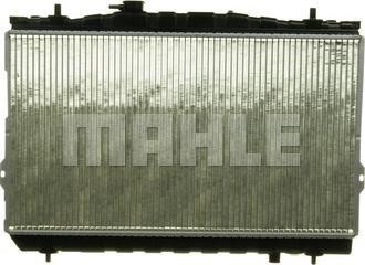 Wilmink Group WG2182492 - Radiator, mühərrikin soyudulması furqanavto.az