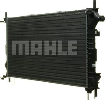 Wilmink Group WG2182441 - Radiator, mühərrikin soyudulması furqanavto.az