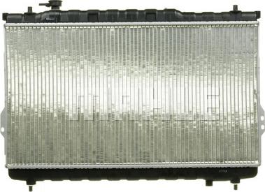 Wilmink Group WG2182503 - Radiator, mühərrikin soyudulması furqanavto.az