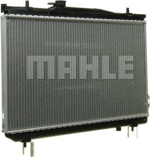 Wilmink Group WG2182522 - Radiator, mühərrikin soyudulması furqanavto.az