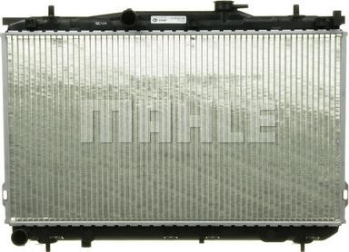 Wilmink Group WG2182522 - Radiator, mühərrikin soyudulması furqanavto.az