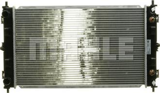 Wilmink Group WG2182620 - Radiator, mühərrikin soyudulması furqanavto.az