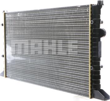 Wilmink Group WG2182270 - Radiator, mühərrikin soyudulması furqanavto.az