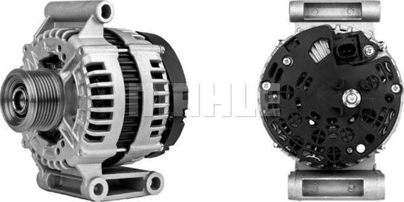 Wilmink Group WG2203024 - Alternator furqanavto.az