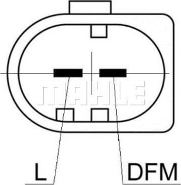 Wilmink Group WG2203023 - Alternator furqanavto.az