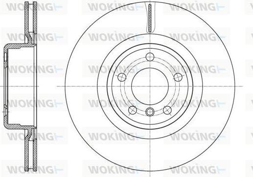 Woking D61595.10 - Əyləc Diski furqanavto.az