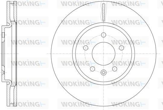 Woking D61541.10 - Əyləc Diski furqanavto.az